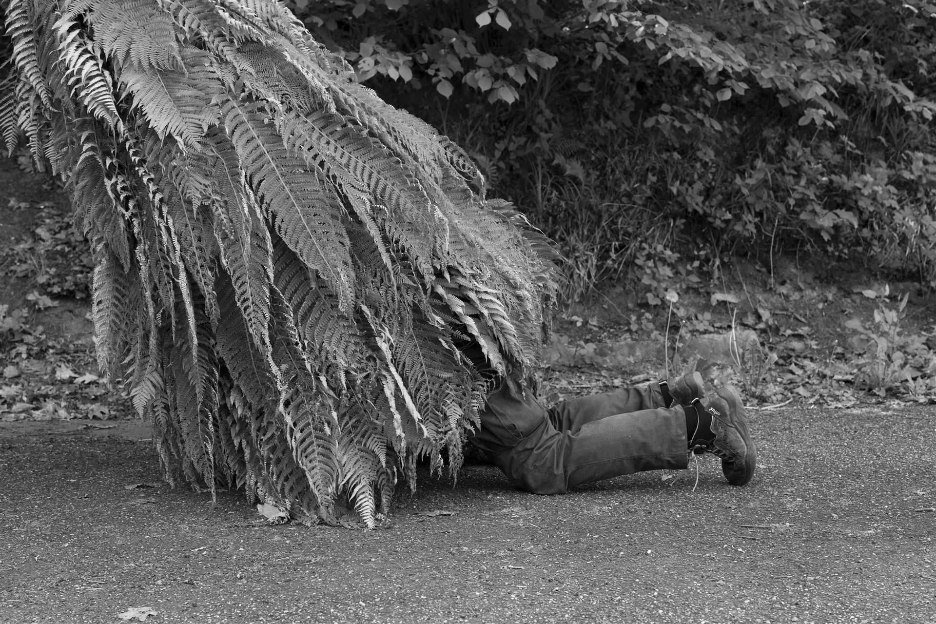  Incontro sulla mostra Metamorphosis