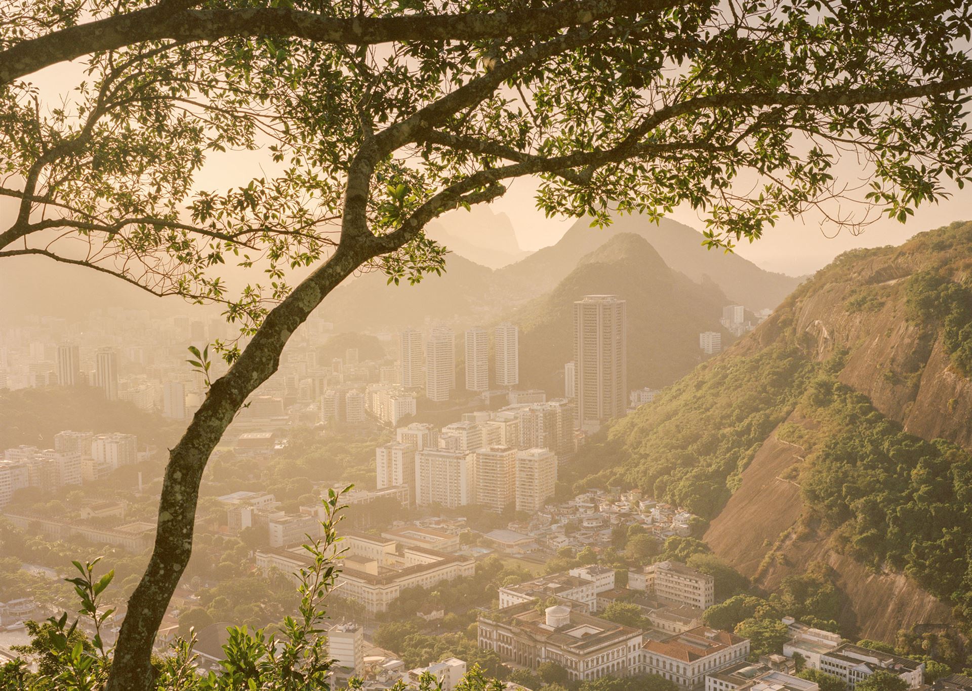 <div>Gaia Squarci, <i>Flamengo is an upper-middle-class neighborhood in Rio de Janeiro, characterized by relatively low temperatures thanks to its proximity to the Tijuca National Park. Brazil</i>, 2022 - Humidity 67%, 25°C</div><div>© Gaia Squarci</div><div><br></div>