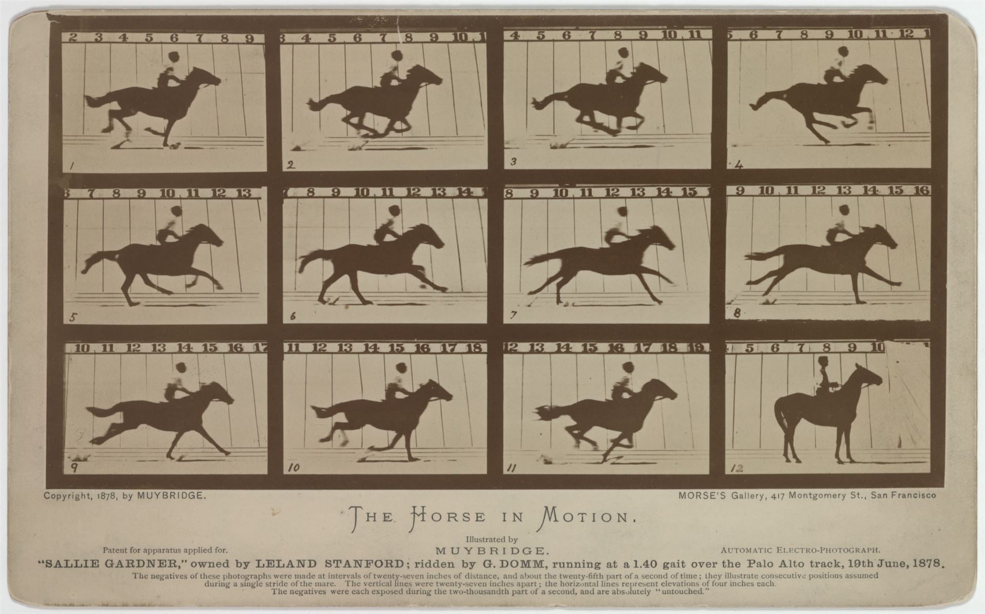 Eadweard Muybridge, <i>The horse in motion</i>, 1878