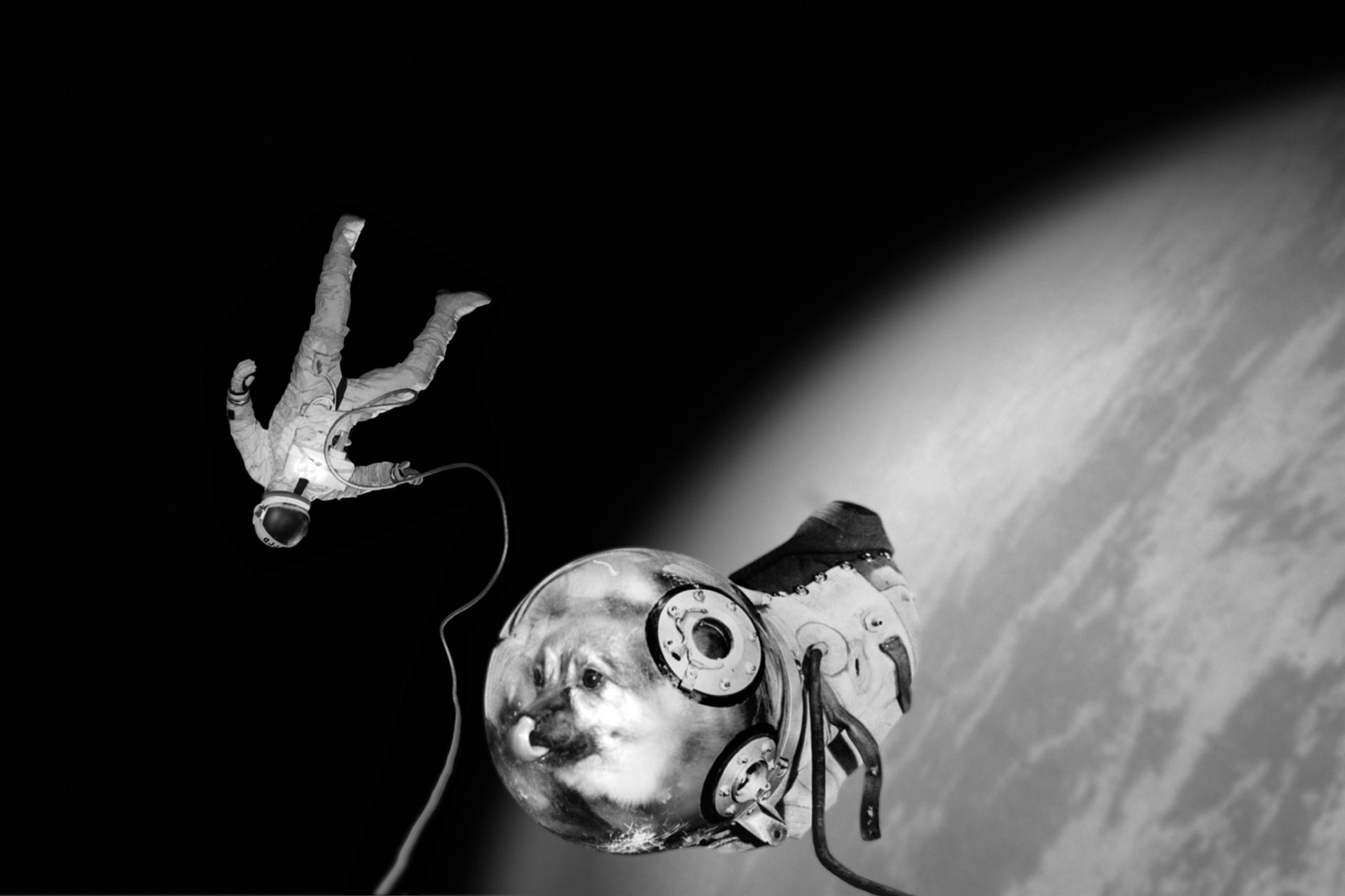 <div>Joan Fontcuberta, <i>Ivan and Kloka performing their historical EVA (Extra Vehicular Activity) <br></i>From the <i>Sputnik</i> series<br>© Joan Fontcuberta</div><div><br></div>